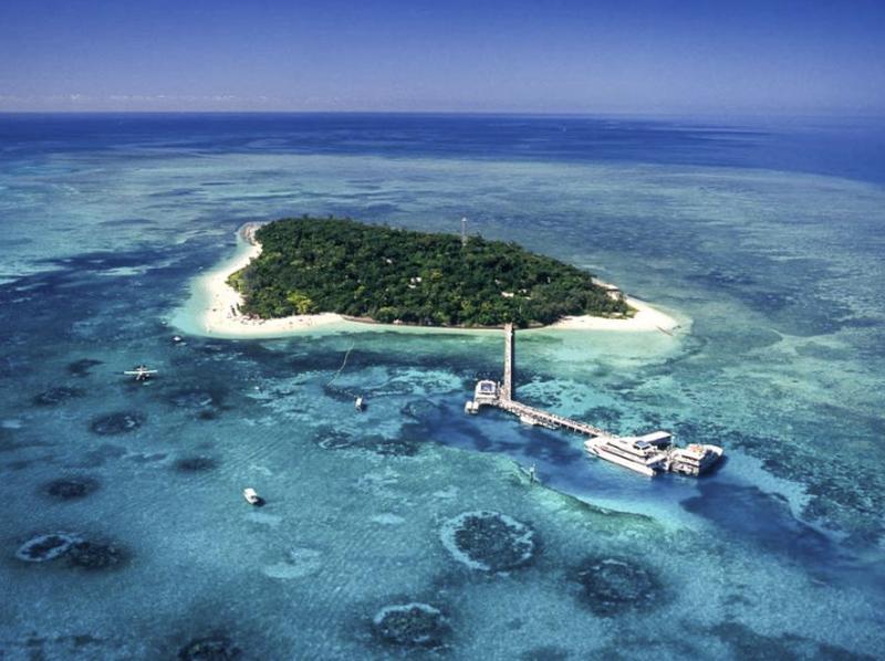 Sunlover Reef Cruises Cairns Great Barrier Reef Experience